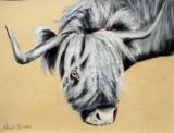 10 - The Highland - Pastel - Wendy Britton.JPG